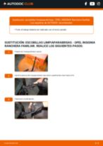 Manual profesional de alto nivel sobre la sustitución de Escobillas de limpiaparabrisas en el INSIGNIA