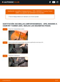 Cómo sustitución de Escobillas de Limpiaparabrisas 2.0 CDTi (47) Opel Insignia A Country Tourer