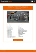 Manual de taller para Clio III Furgón (SB_, SR_) 1.2 Hi-Flex (SR1U) en línea