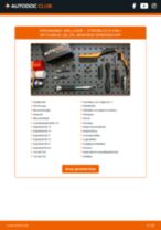 De professionele reparatiehandleiding voor Draagarm-vervanging in je CITROËN C3 III Kasten / Schrägheck (SX, SY) PureTech 82