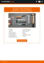 Reparatur- und Servicehandbuch für RENAULT KOLEOS