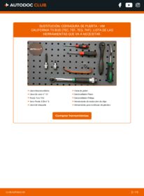 Cómo cambiar Cerradura de Puerta VW California T5 Bus (7EC, 7EF, 7EG, 7HF)