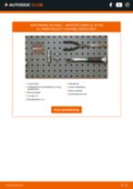 De professionele handleidingen voor Gloeilamp Koplamp-vervanging in je SL R129 320 3.2 (129.063)