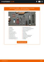 MERCEDES-BENZ CLC-CLASS (CL203) Federn: Schrittweises Handbuch im PDF-Format zum Wechsel