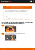Sustitución de Escobillas de parabrisas en OPEL VECTRA C GTS - consejos y trucos