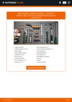 PDF manual sobre mantenimiento PASSAT Variant (3B5) 1.9 TDI
