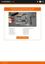 PDF manual sobre mantenimiento Tigra Coupé (S93) 1.6 16V (F07)