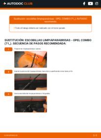 Cómo sustitución de Escobillas de Limpiaparabrisas 1.7 D Opel Combo B