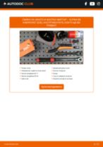 Онлайн наръчници за ремонт ALPINA B8 за професионални механици или автолюбители, които правят самостоятелни ремонти