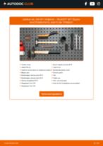 Смяна на Масло за автоматична предавателна кутия на PEUGEOT HOGGAR: ръководство pdf