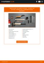 PDF manual sobre manutenção de 407 SW Van / Carrinha (6E_) 2.0 HDi