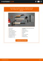 PDF manual pentru întreținere 407 SW Van / Break (6E_) 2.0 HDi