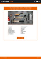 Priročnik PDF o vzdrževanju 407 SW Van / Kombi (6E_) 2.0 HDi