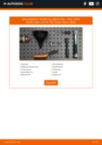 Tigra Coupe (S93) 1.4 16V (F07) workshop manual online