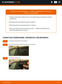 Kuidas välja vahetamist läbi viia: Hyundai Grandeur TG 3.3 Pesurikumm