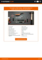 PDF manual pentru întreținere CLK (C208) CLK 55 AMG (208.374)