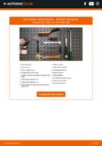 PDF manual pentru întreținere 406 Break (8E/F) 2.0 16V