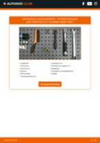 Online handleiding over het zelf vervangen van de Schokdemper van de CITROËN BERLINGO (B9)