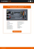 HONDA Brio II (DD1) Getriebeöl und Verteilergetriebeöl: Schrittweises Handbuch im PDF-Format zum Wechsel