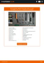 KRAFT 4000505 per Alhambra (7V8, 7V9) | PDF istruzioni di sostituzione