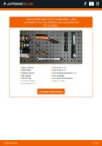 La guía profesional para realizar la sustitución de Amortiguadores en tu Seat Alhambra 7V9 2.0 i
