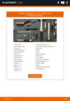 Návodý na opravu a údržbu VOLVO S80 II (AS, 124) 2012
