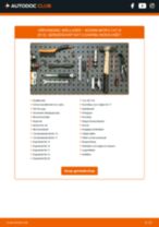 Interieurventilator veranderen NISSAN NV200: instructie pdf