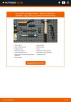 PDF manual pentru întreținere SANDERO / STEPWAY