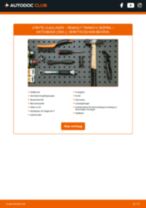 Byta Hjullager fram och bak RENAULT Twingo II Kasten / Schrägheck (CNO_): guide pdf