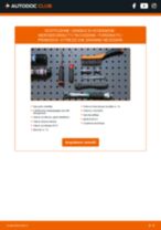 Cambio Candele di accensione iridium e platinum MERCEDES-BENZ T1/TN Box Body / Estate: guida pdf