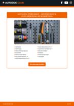 MERCEDES-BENZ Stabilisatorlager wechseln - Online-Handbuch PDF
