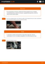 Hur byter man och justera AGR ventil : gratis pdf guide