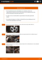 Anleitungen mit Abbildungen für Überprüfungen im Rahmen der Auto Wartung, die Sie in regelmäßigen Intervallen erledigen sollten
