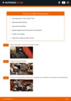 Hur byter man och justera Luftmängdmätare : gratis pdf guide