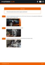 Axle suspension change & repair manual with illustrations