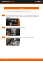 Hochkarätige Fahrzeug-Reparaturanweisung