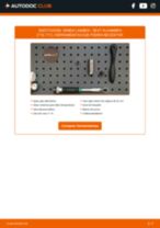 Manual de taller para Alhambra (710, 711) 1.8 TSI en línea