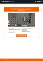 PDF manual sobre manutenção de R8 Spyder (427, 429) 5.2 FSI